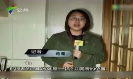 陈小姐前夫爆料视频在线观看,揭秘婚姻内幕